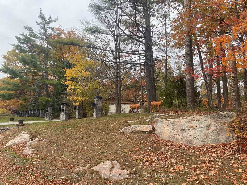 2943 County Rd 36, Trent Lakes, K0L 1J0 | Image 3