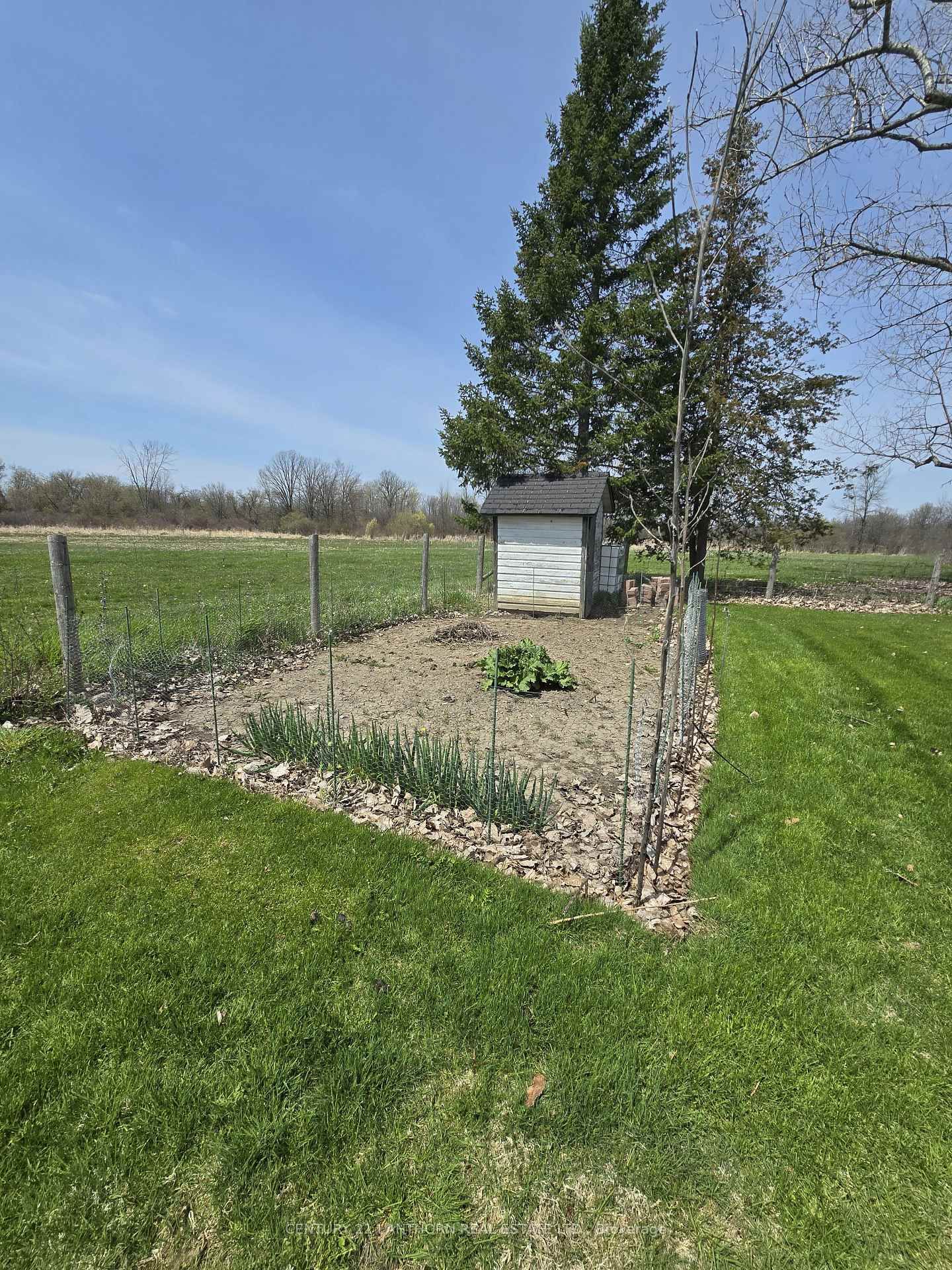 175 Hall Settlement Rd, Belleville, view 37