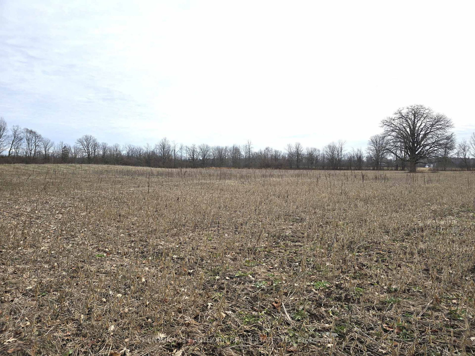 175 Hall Settlement Rd, Belleville, view 50