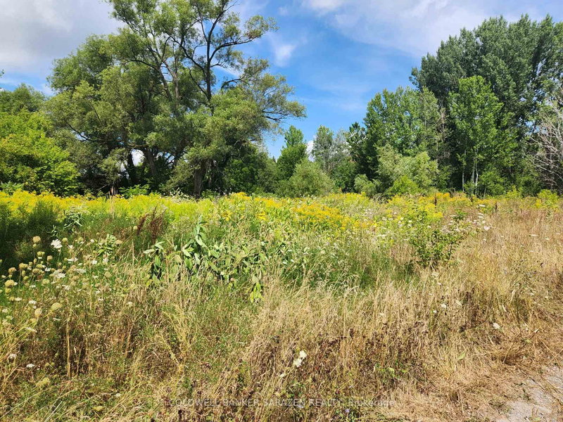 115 Poole St, Arnprior, K7S 1J1 | Image 3