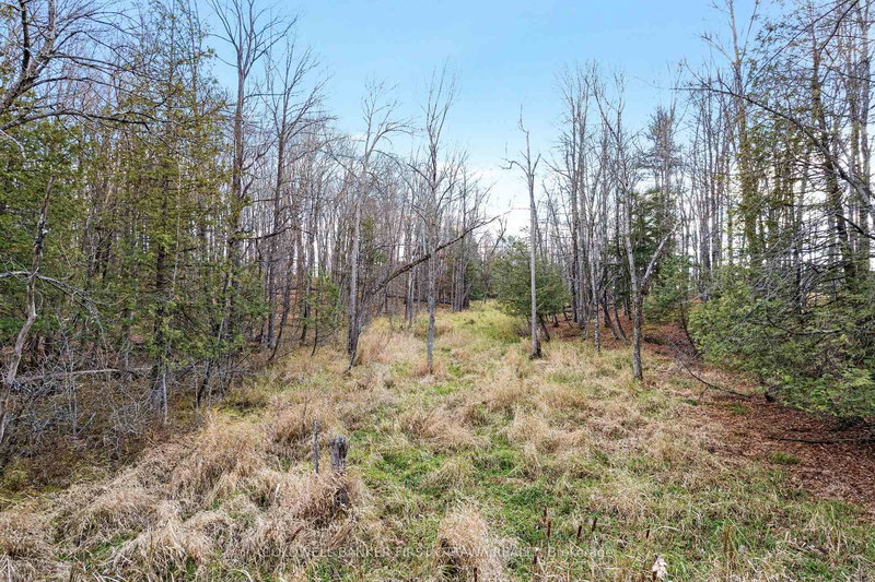 home for sale on PT 1-00 Herron Mills Road