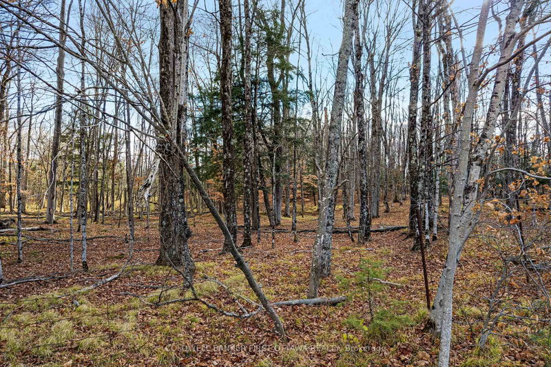 PT 1-00 Herron Mills Rd, Lanark, K0G 1K0 | Image 3