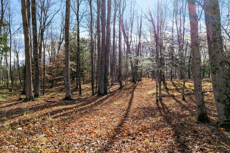 home for sale on PT 2-00 Herron Mills Road