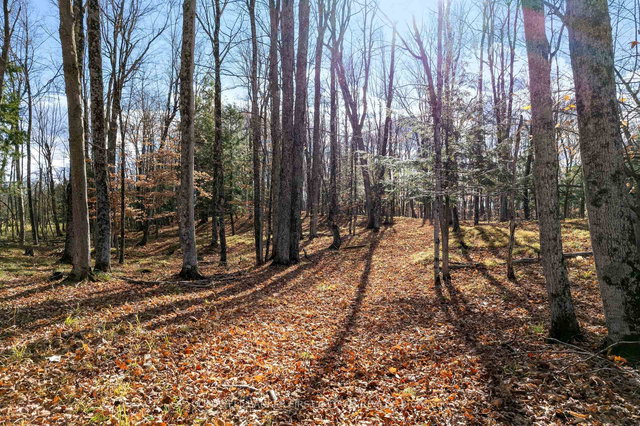 PT 2-00 Herron Mills Road