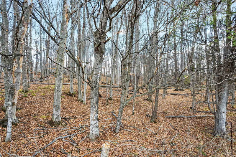 PT 2-00 Herron Mills Rd, Lanark, K0G 1K0 | Image 3