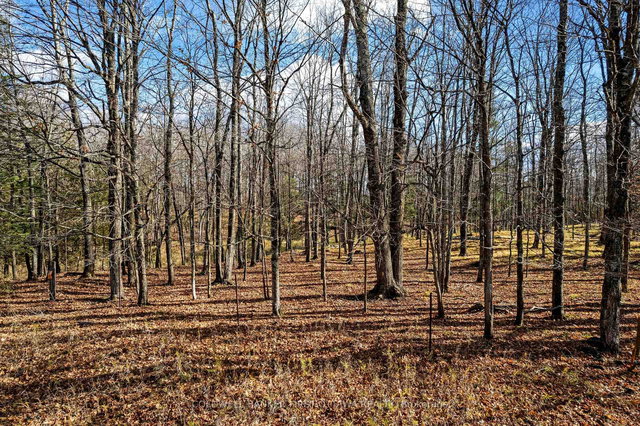 PT 3-00 Herron Mills Road