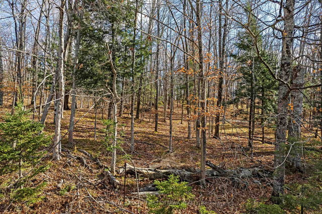 PT 3-00 Herron Mills Road