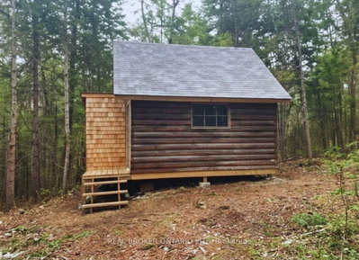 0 Bear Cave Road • Muskoka Lakes, ON photo 3