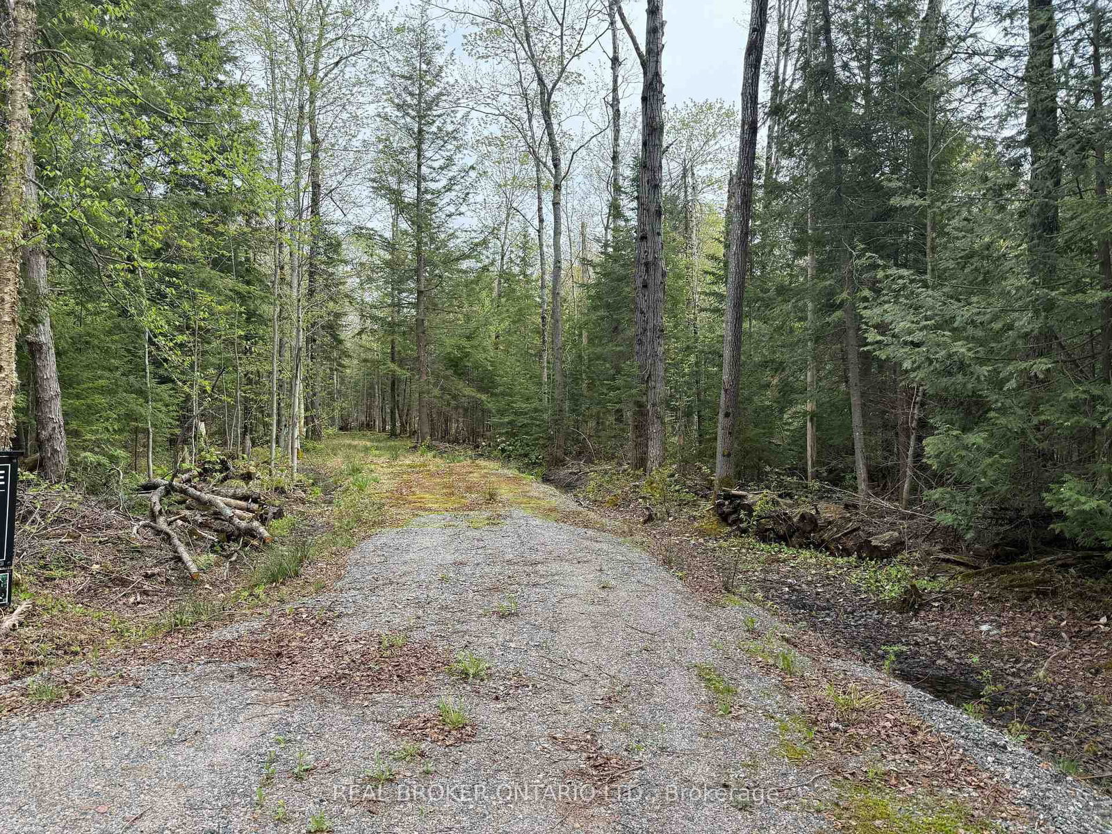 0 Bear Cave Road • Muskoka Lakes, ON photo 6