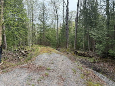 0 Bear Cave Road • Muskoka Lakes, ON photo 6