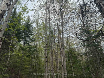 0 Bear Cave Road • Muskoka Lakes, ON photo 8