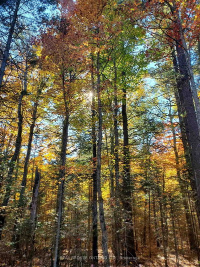 0 Bear Cave Road • Muskoka Lakes, ON photo 9