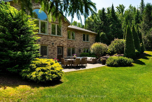 555374 Mono Amaranth Townline