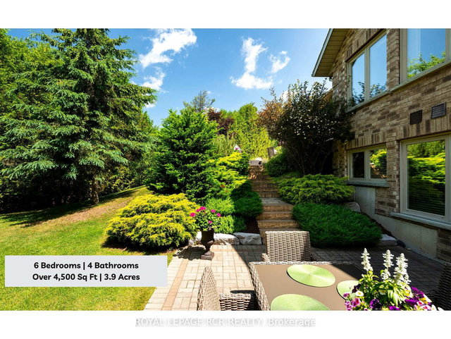 555374 Mono Amaranth Townline