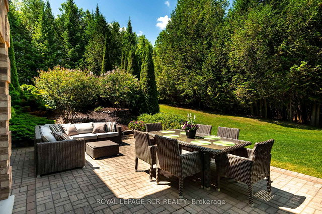 555374 Mono Amaranth Townline