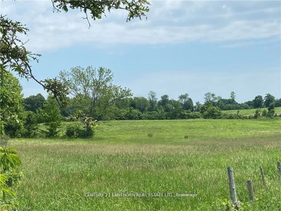 0 Hwy 62 • Madoc, ON photo 5