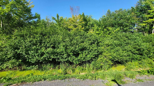 00 Tolmies Corners Road