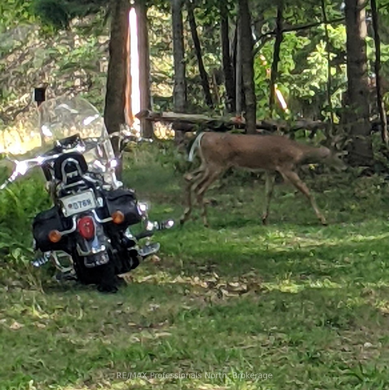 Vacant Land for sale at 124 Cardwell Lake Road, Huntsville, Ontario, P0B 1M0 - Stisted - MLS: X12600966