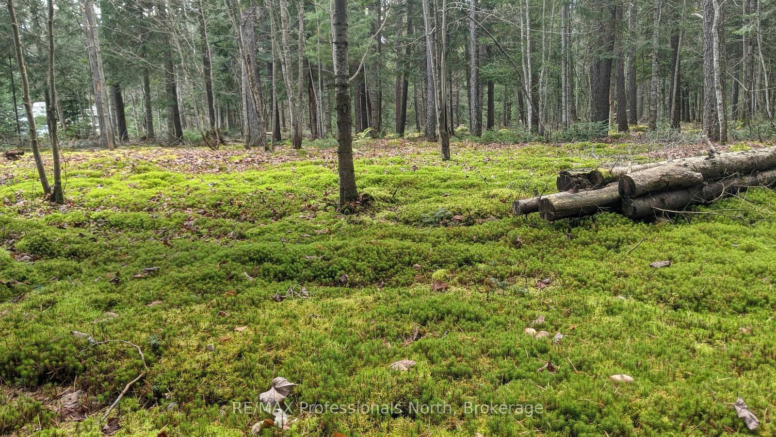 Vacant Land for sale at 124 Cardwell Lake Road, Huntsville, Ontario, P0B 1M0 - Stisted - MLS: X12600966