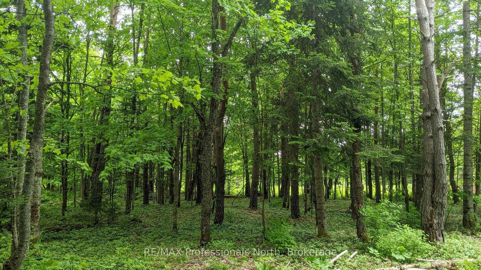 Vacant Land for sale at 124 Cardwell Lake Road, Huntsville, Ontario, P0B 1M0 - Stisted - MLS: X12600966