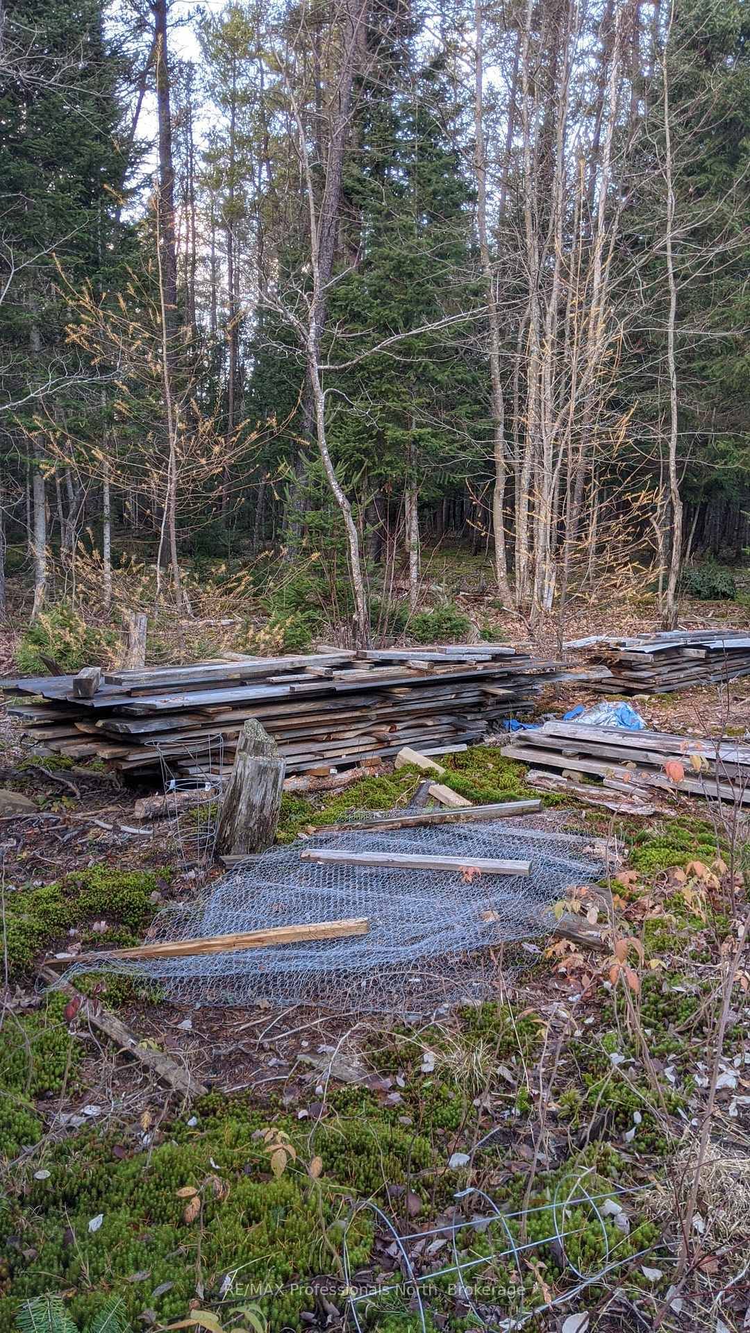 Vacant Land for sale at 124 Cardwell Lake Road, Huntsville, Ontario, P0B 1M0 - Stisted - MLS: X12600966