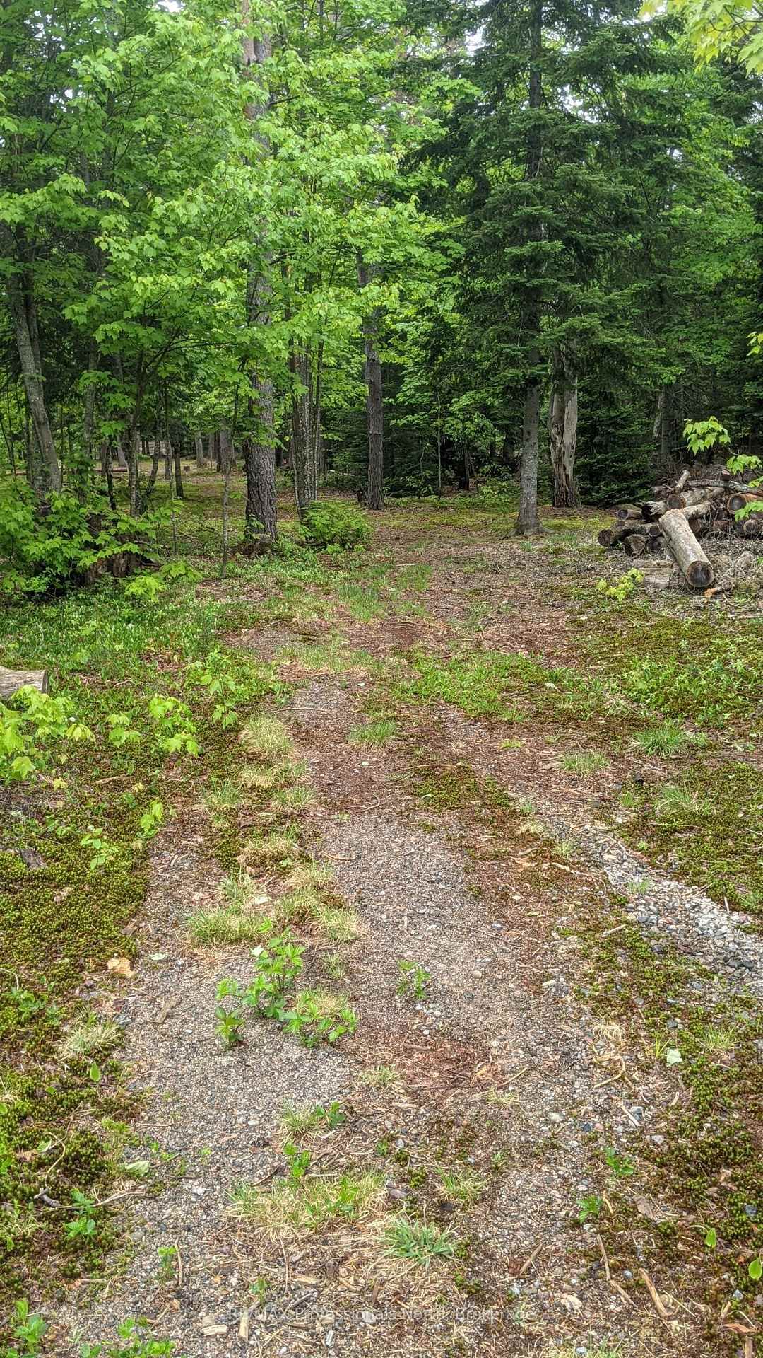 Vacant Land for sale at 124 Cardwell Lake Road, Huntsville, Ontario, P0B 1M0 - Stisted - MLS: X12600966