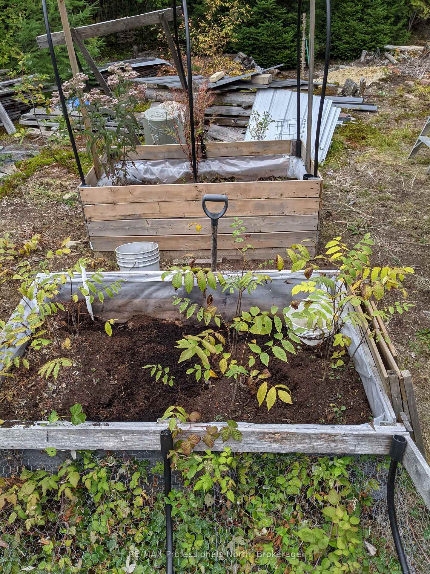 Vacant Land for sale at 124 Cardwell Lake Road, Huntsville, Ontario, P0B 1M0 - Stisted - MLS: X12600966