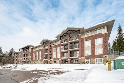 Condo sold at 106-645 St David Street, Centre Wellington, Ontario, N1M 0A9 - Fergus - MLS: X12604438
