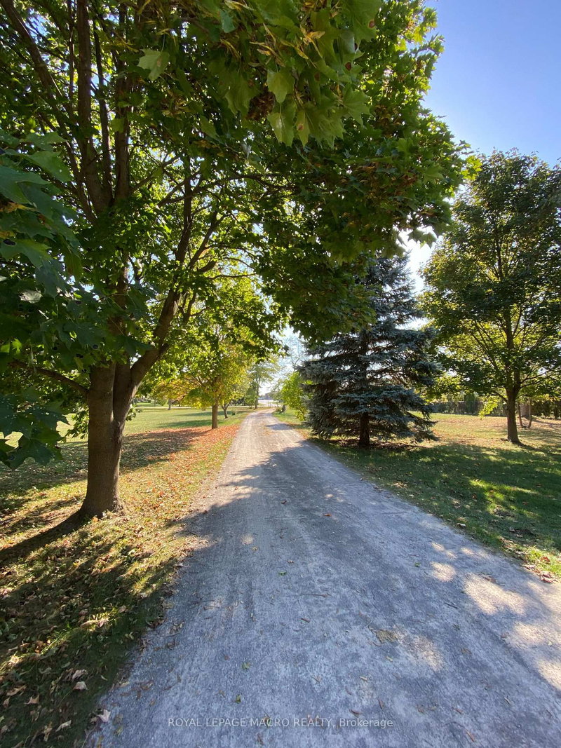 805 Ridge Rd, Hamilton, L8J 2Y3 | Image 3