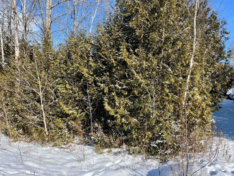 0 Sumcot Dr, Trent Lakes, K9J 6X2 | Image 3