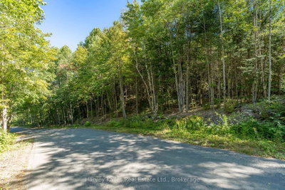 0 East Walker Lake Road — photo 3