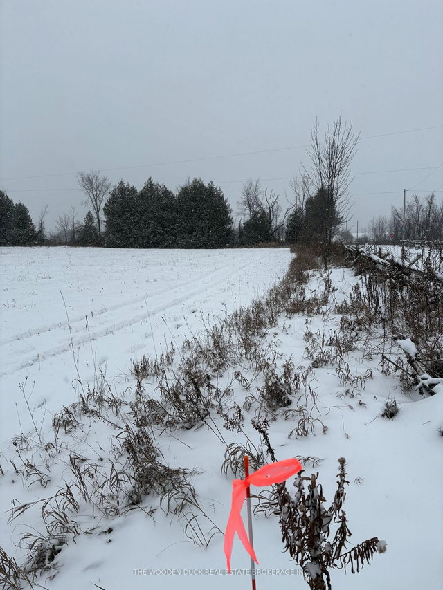 0 Cooney Island Road