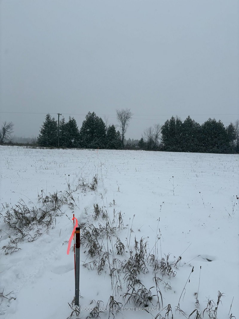 0 Cooney Island Rd, Douro-Dummer, K0L 2H0 | Image 3