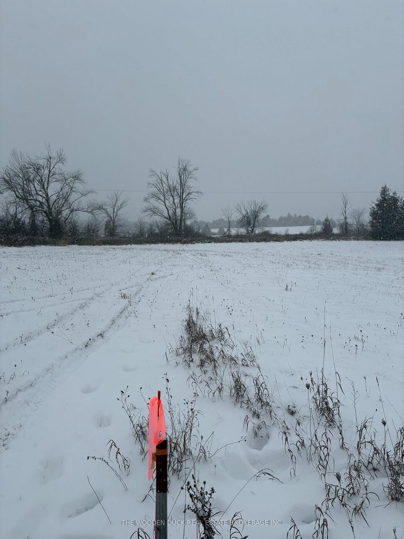 home for sale on 0 Douro Third Line