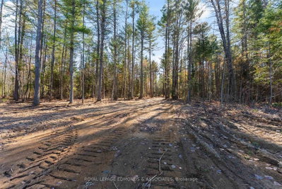 100 Nangor Trail — photo 4