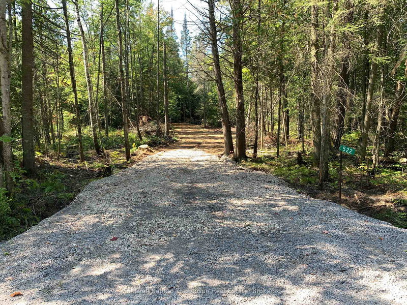 522 ALBERT St N, Strong, P0A 1Z0 | Image 2