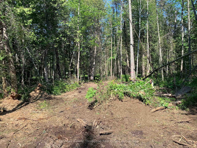 522 ALBERT St N, Strong, P0A 1Z0 | Image 3