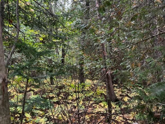 7 SHORE Road • Saugeen Shores, ON photo 1