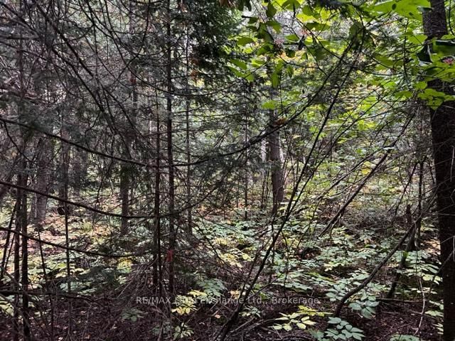 7 SHORE Road • Saugeen Shores, ON photo 10