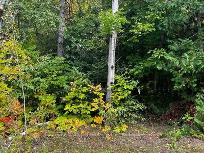 7 SHORE Road • Saugeen Shores, ON photo 2