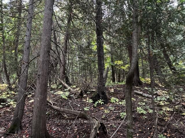 7 SHORE Road • Saugeen Shores, ON photo 8