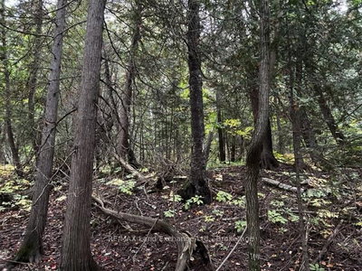 7 SHORE Road • Saugeen Shores, ON photo 8