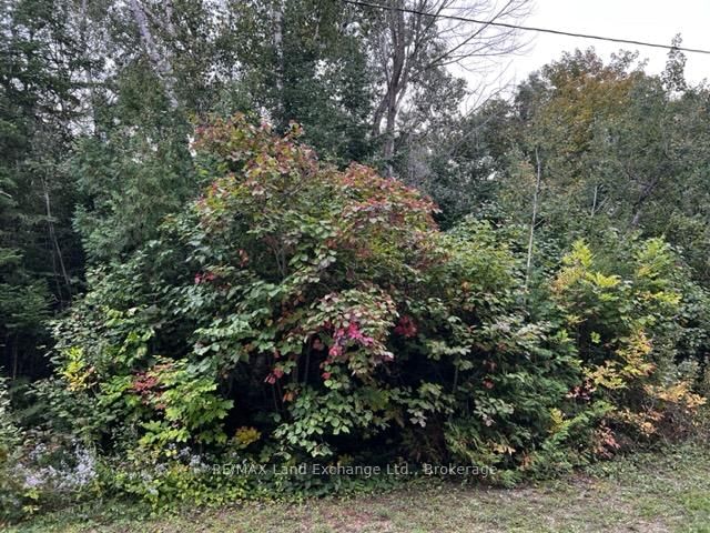 5 SHORE Road • Saugeen Shores, ON photo 1