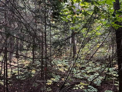 5 SHORE Road • Saugeen Shores, ON photo 8