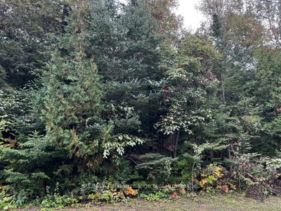 6 SHORE Road — photo 5