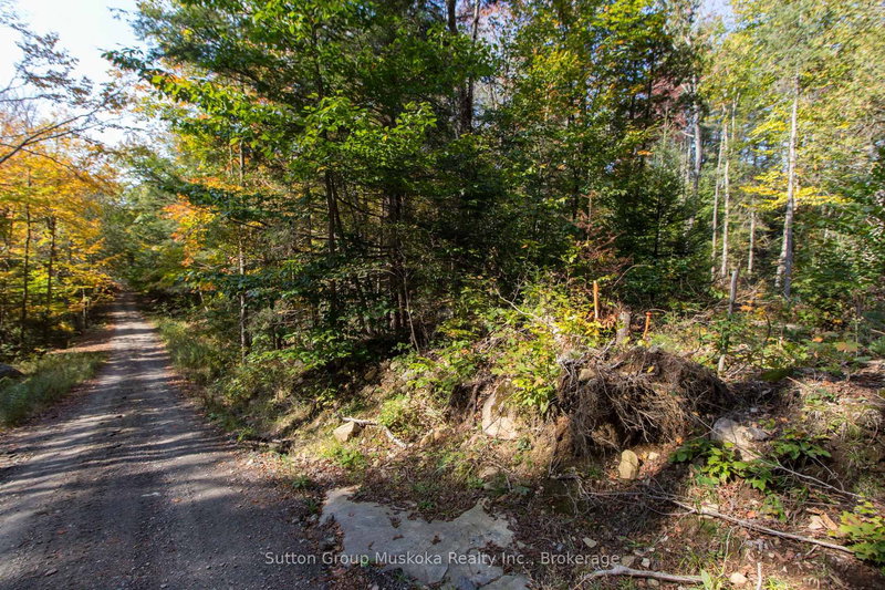 0 Lynx Lake Rd, Huntsville, P1H 2J3 | Image 2