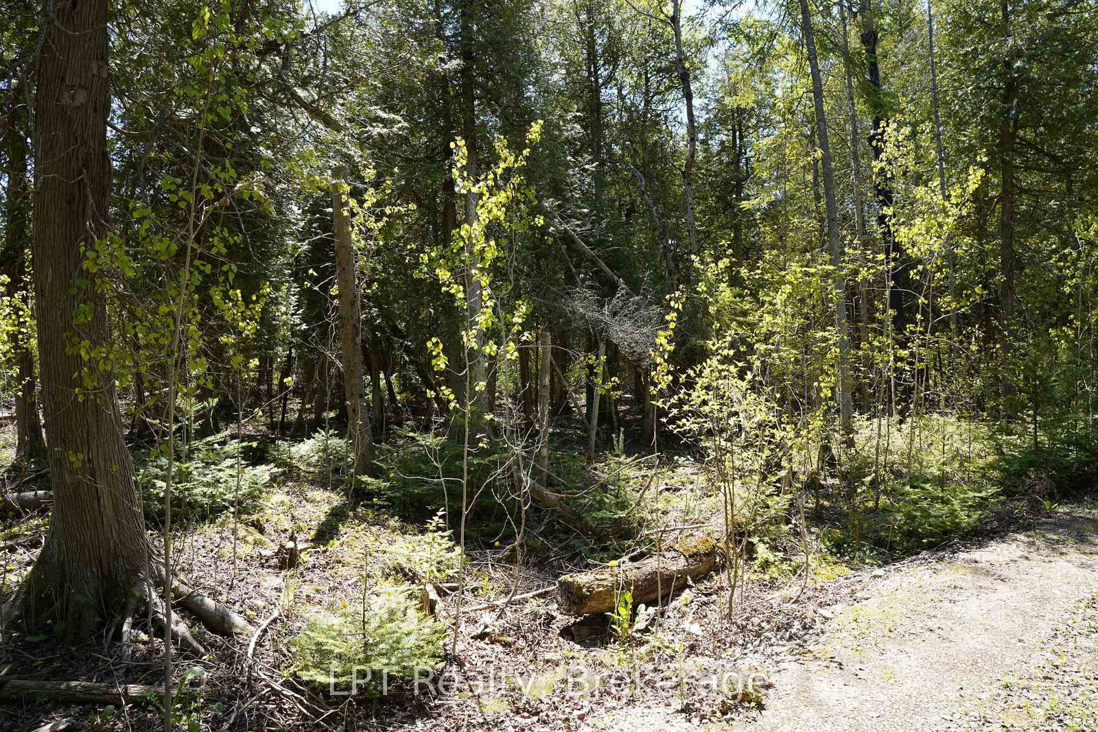 PT LT 36 Walter Charman Drive • Northern Bruce Peninsula, ON photo 19