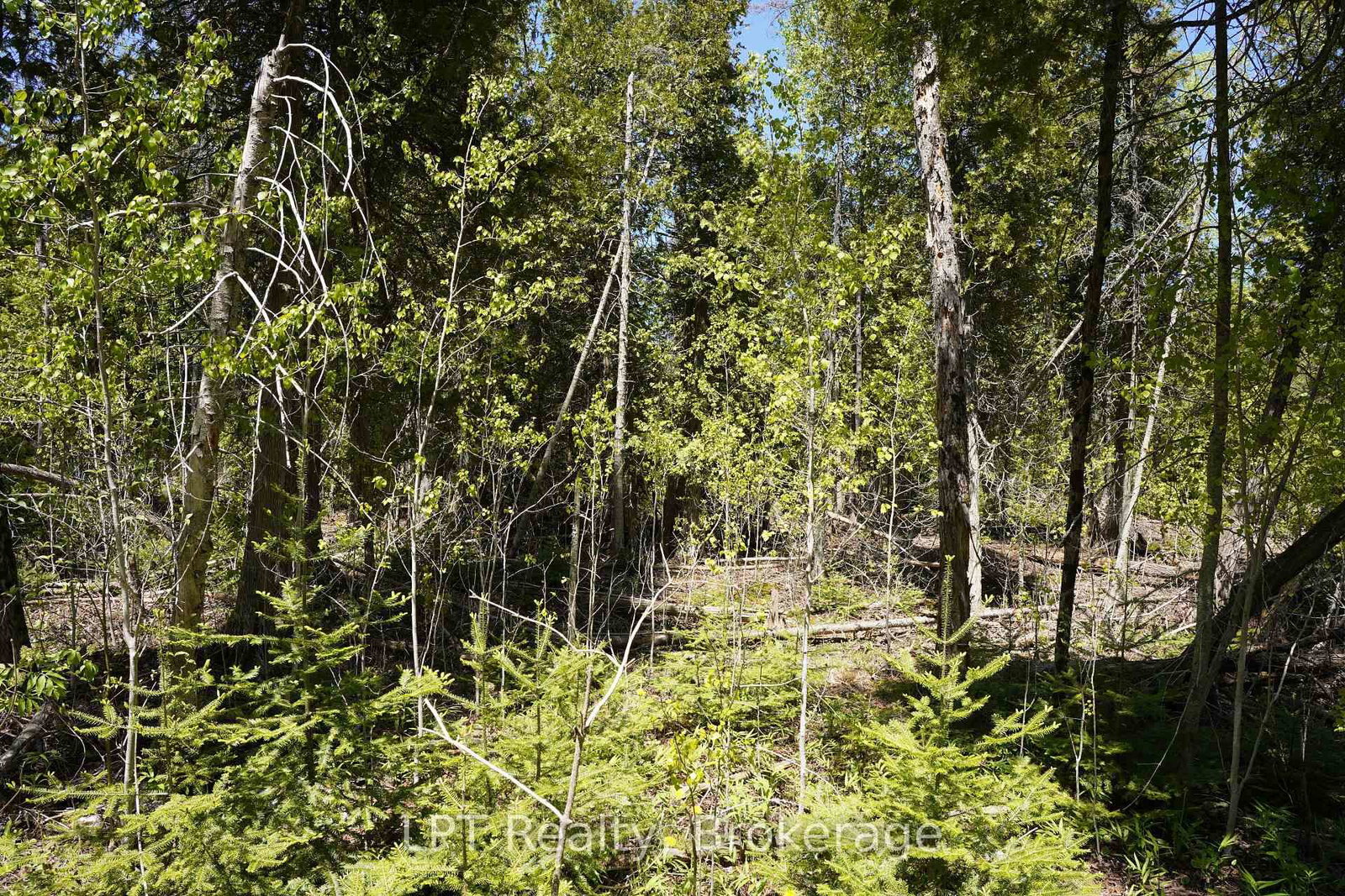 PT LT 36 Walter Charman Drive • Northern Bruce Peninsula, ON photo 20
