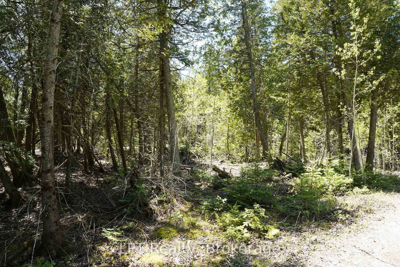 PT LT 36 Walter Charman Drive • Northern Bruce Peninsula, ON photo 21
