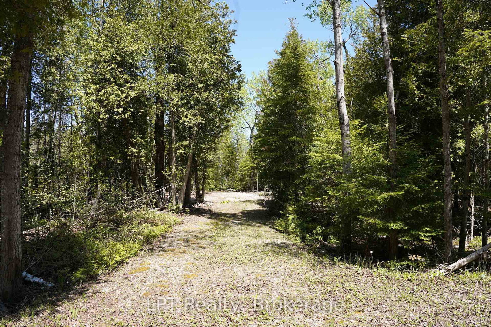 PT LT 36 Walter Charman Drive • Northern Bruce Peninsula, ON photo 22